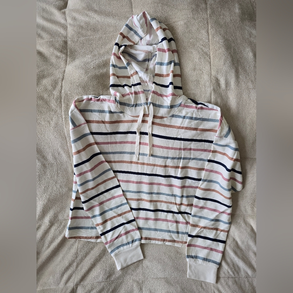 Striped Hoodie with Multicolor Stripes
